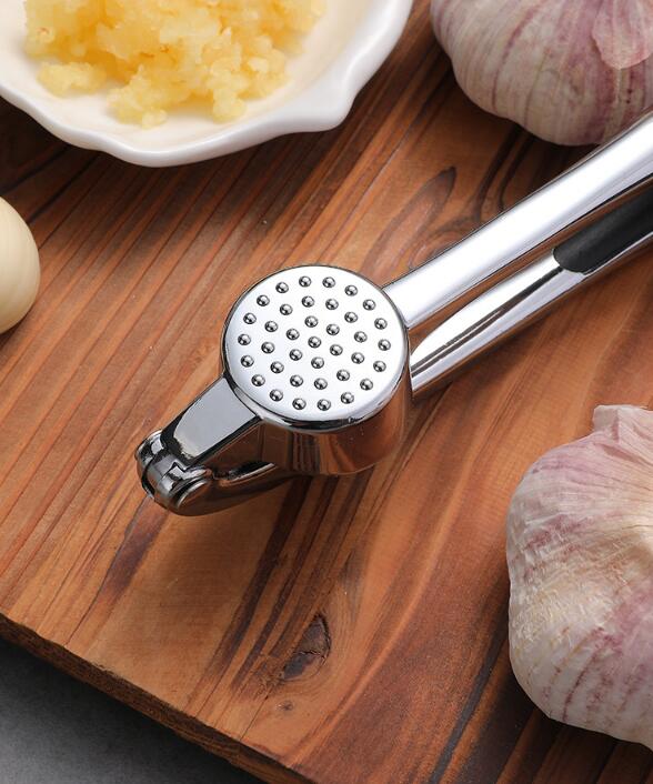 Stainless Steel Garlic Press